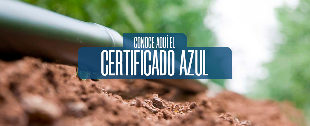 certficado_azul_ascc